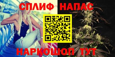 круглые Апшеронск