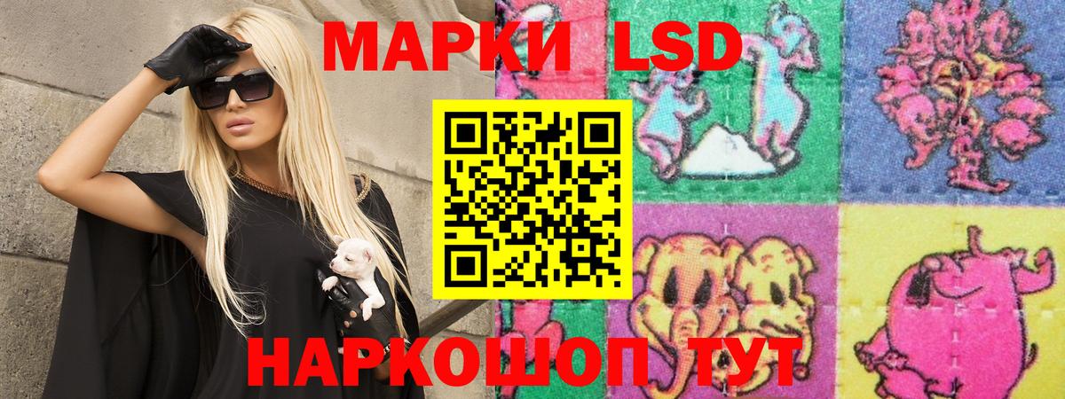 Лсд 25 экстази ecstasy  Лсд 25 экстази  Лсд 25 экстази ecstasy  Бердск  Вход с VPN 