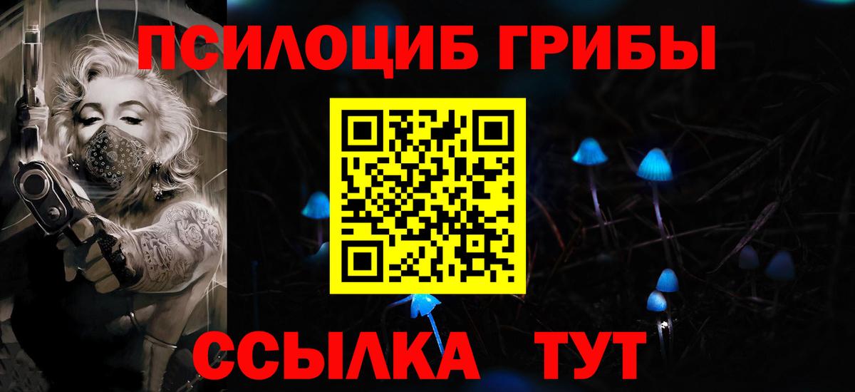 Галлюциногенные грибы MAGIC MUSHROOMS Бердск