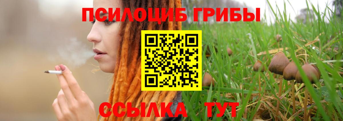 Галлюциногенные грибы Cubensis  Псилоцибиновые грибы Cubensis  Вход с VPN  Бердск 