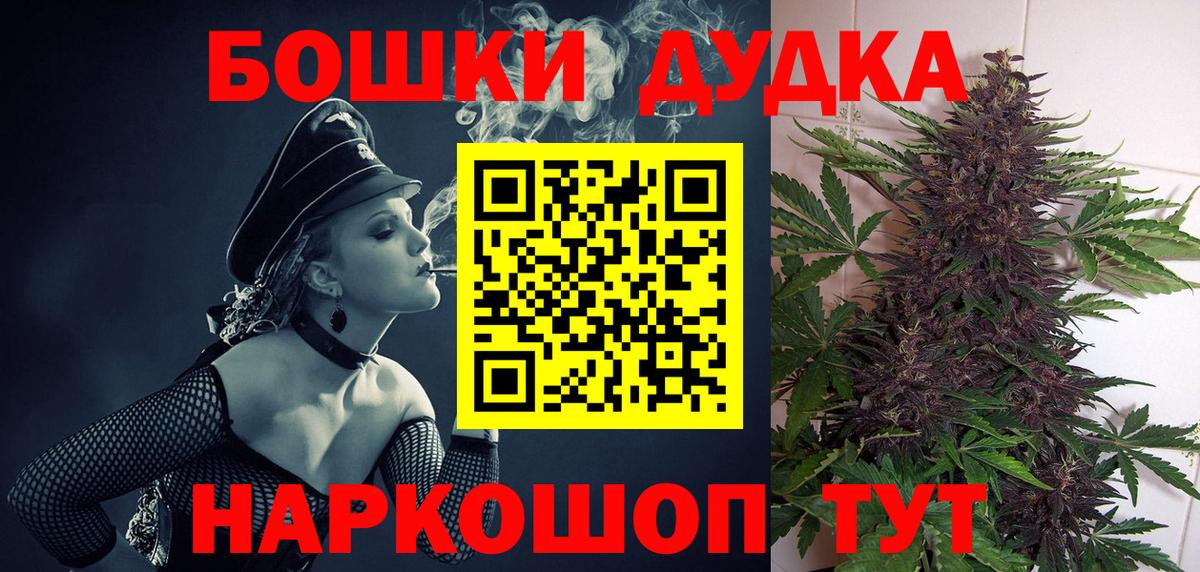Каннабис план  Марихуана семена  Вход с VPN  Бердск  Канабис семена 